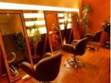Batik Hair Extention